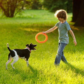 Anel de borracha para cachorro